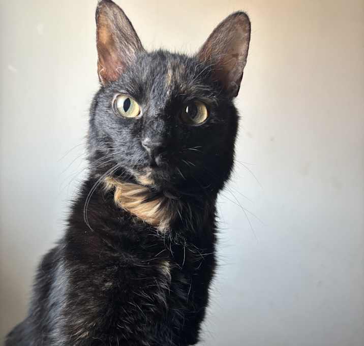 Photo of Wednesday