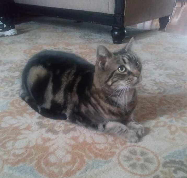 Photo of Max