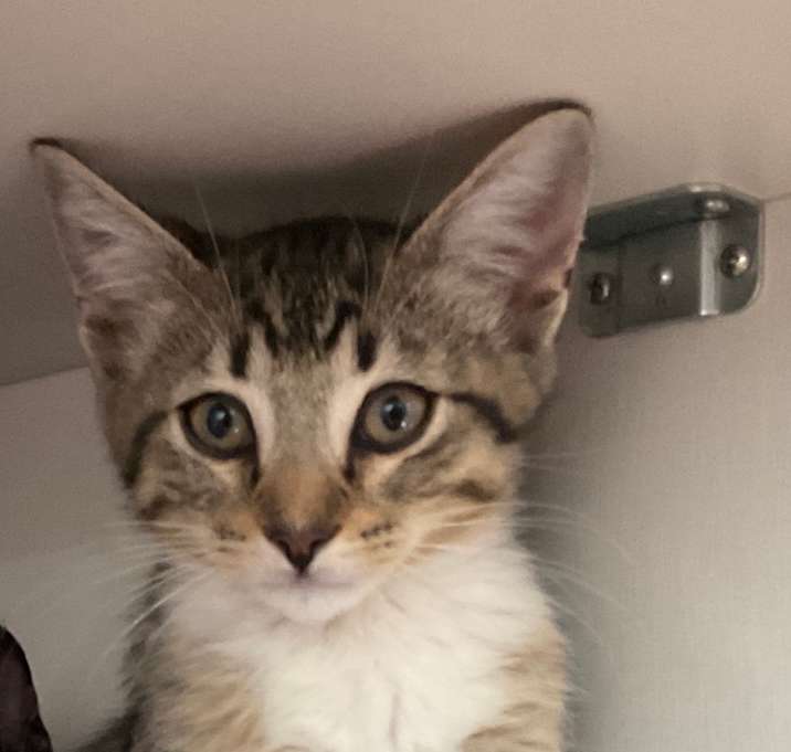 Photo of Sallie