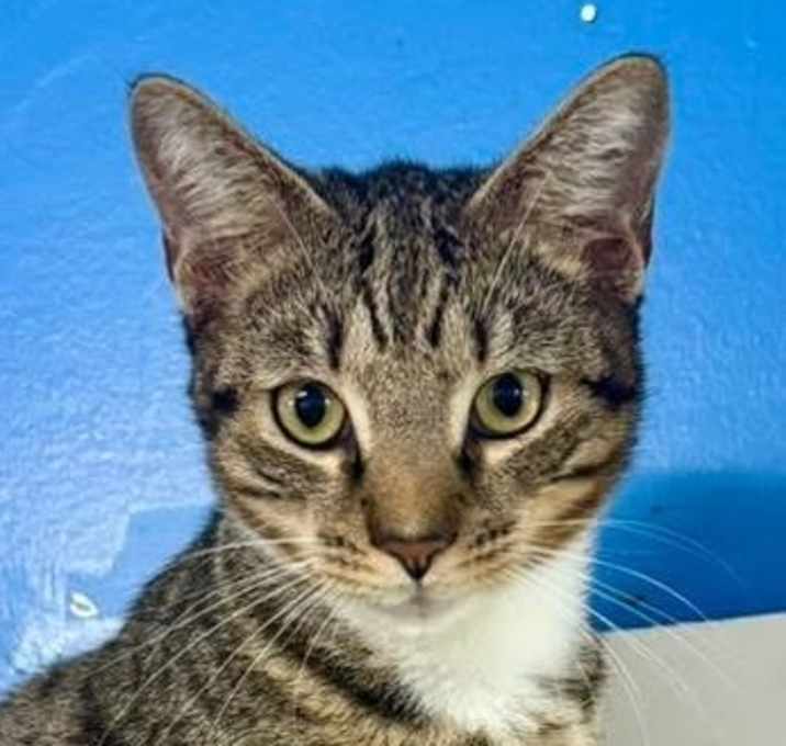 Photo of Ned