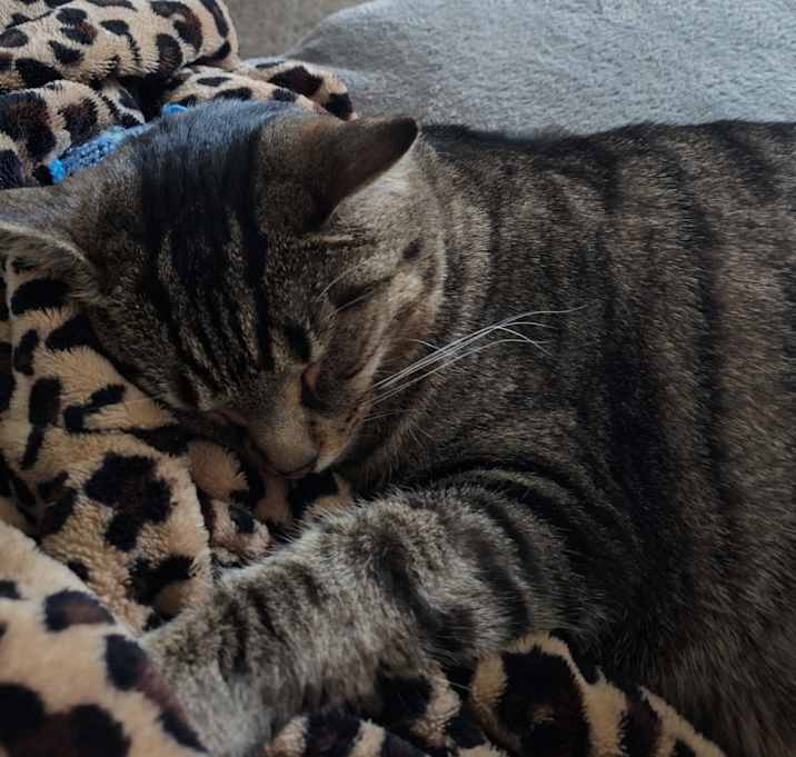 Photo of Twizzler