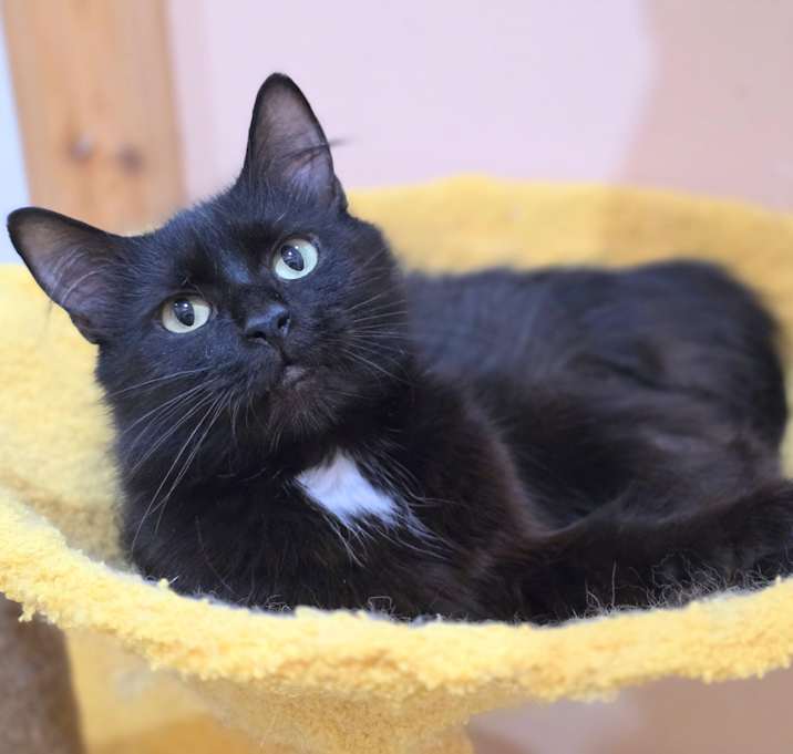 Photo of Agatha