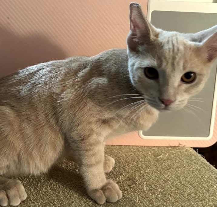Photo of Doc