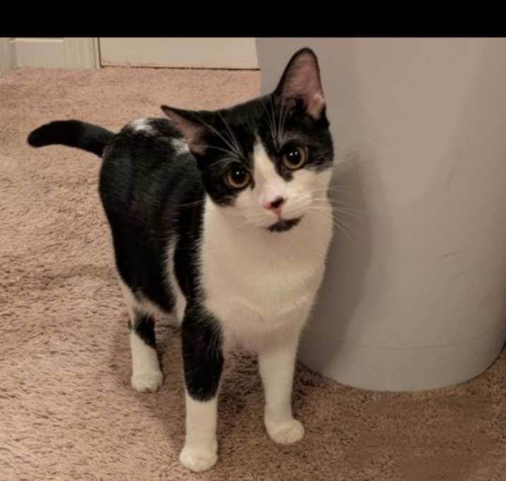 Photo of Millie