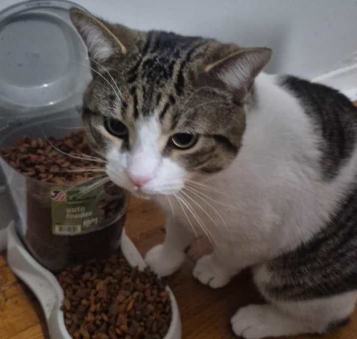 Photo of Cuppa