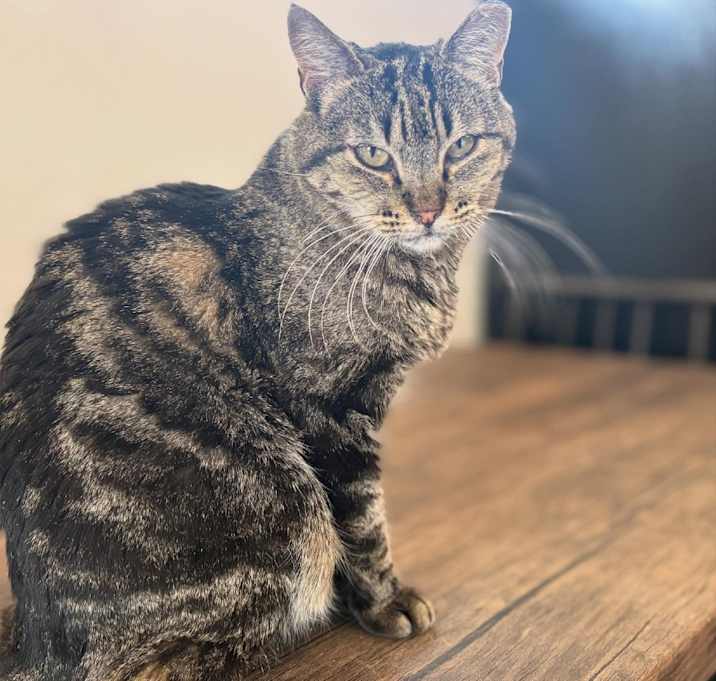 Photo of Rhea