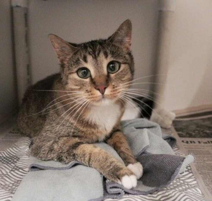 Photo of Libby