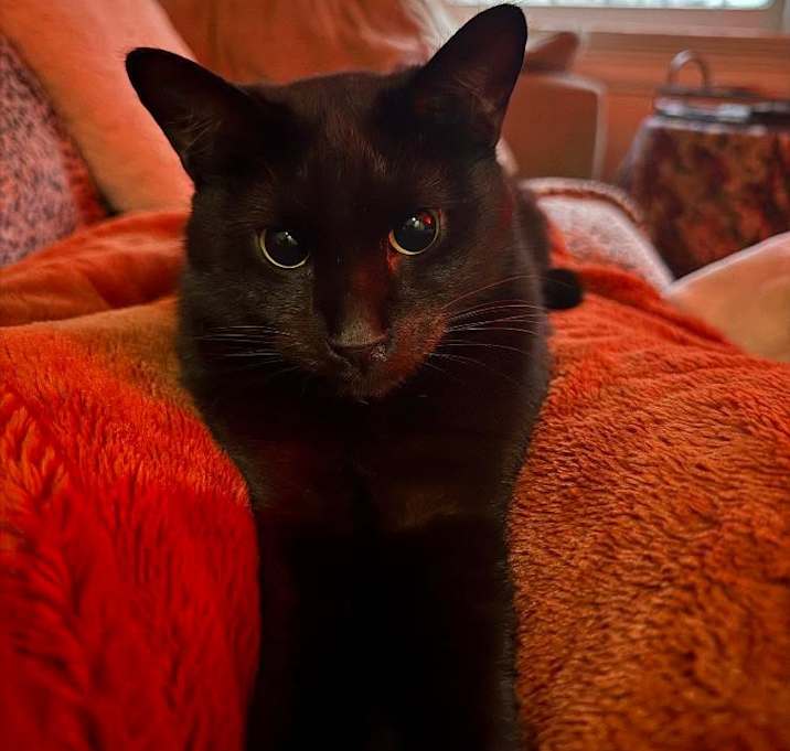Photo of Mona