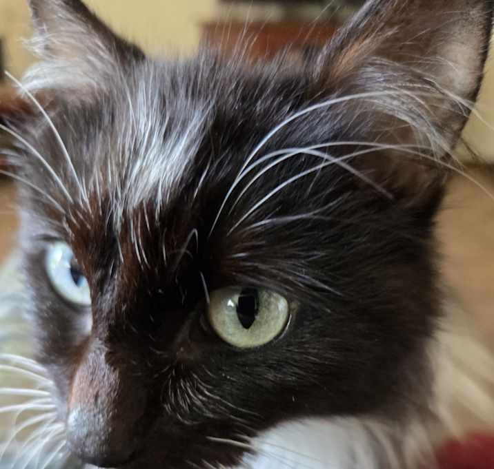 Photo of Boots