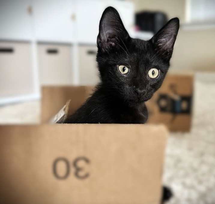Photo of Soy