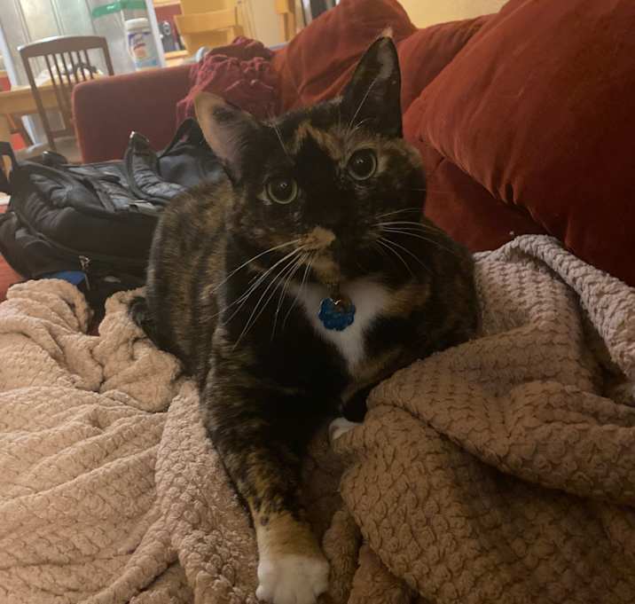Photo of Maya
