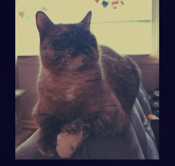 Photo of Pebble-Lin