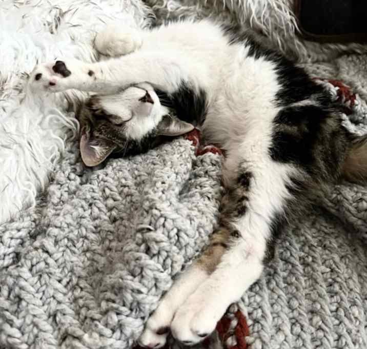 Photo of *OSCAR