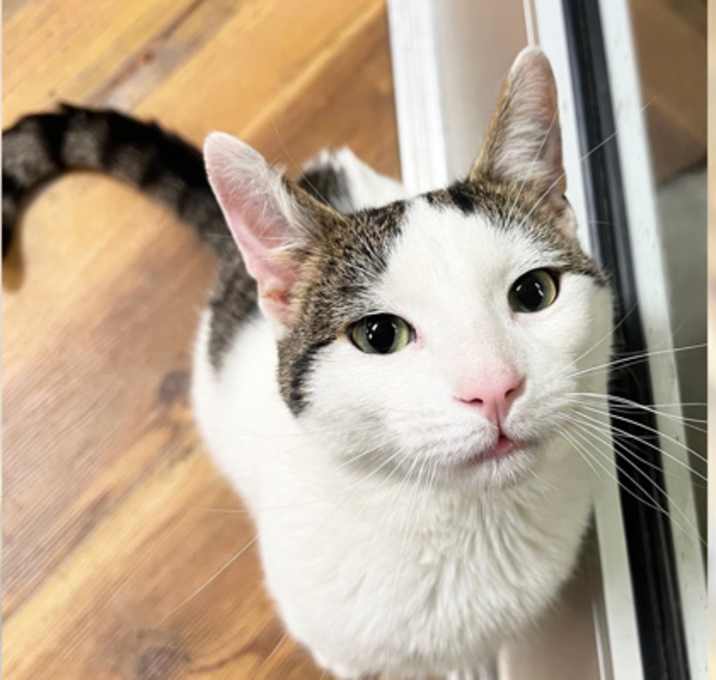 Photo of Derp