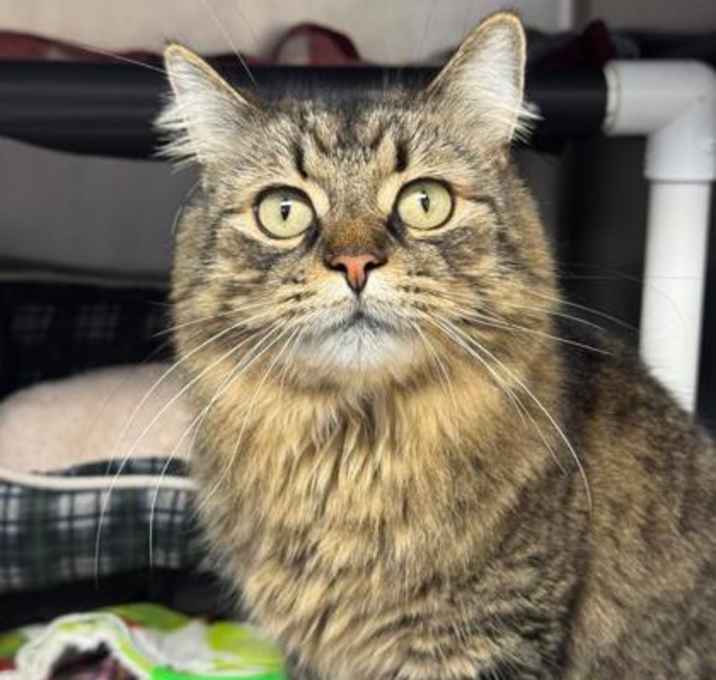 Photo of Harrison