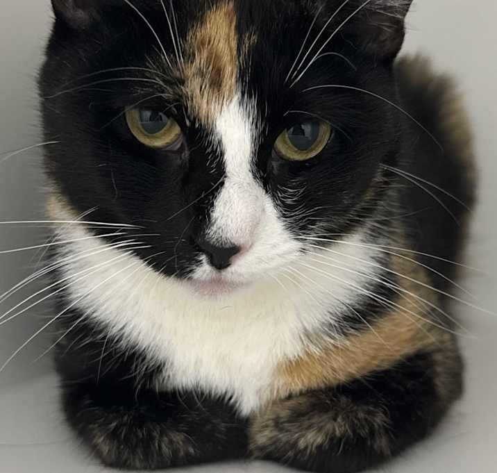 Photo of Vivian