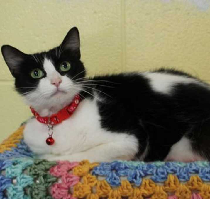 Photo of Momma - 41491