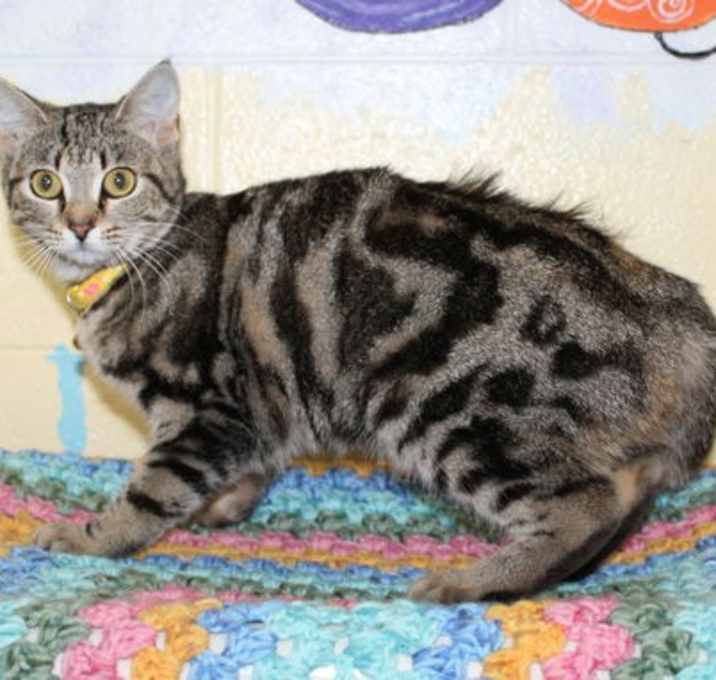 Photo of Leah - 41638