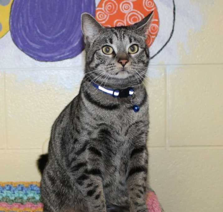 Photo of Sparkle - 41640