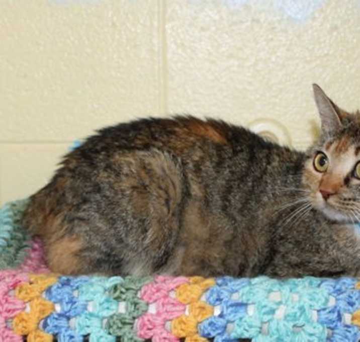 Photo of Sasha - 41642