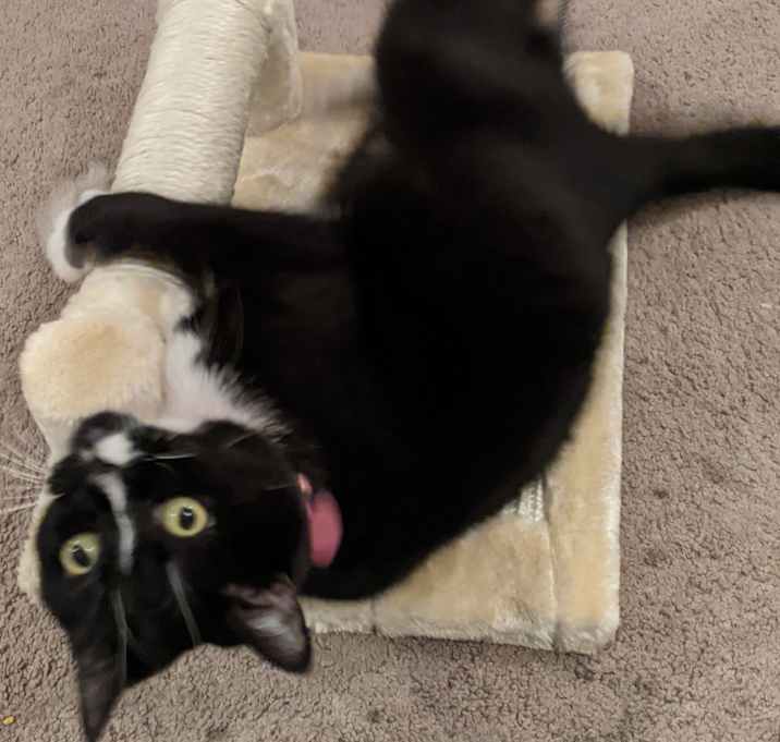 Photo of Maggie