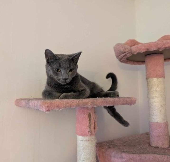 Photo of Ivan (coming soon!)