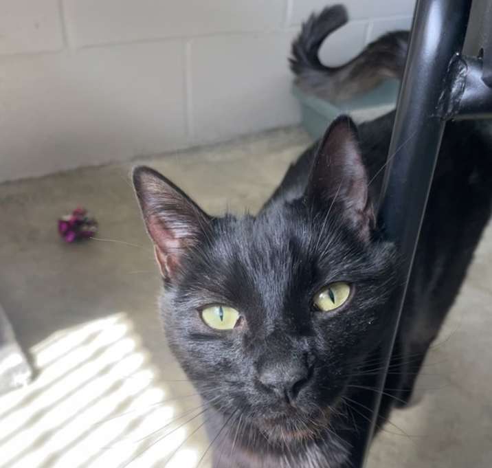 Photo of Lola Beans