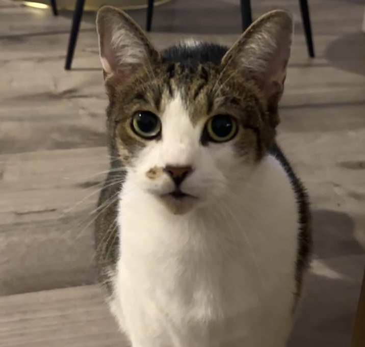 Photo of Sabrina