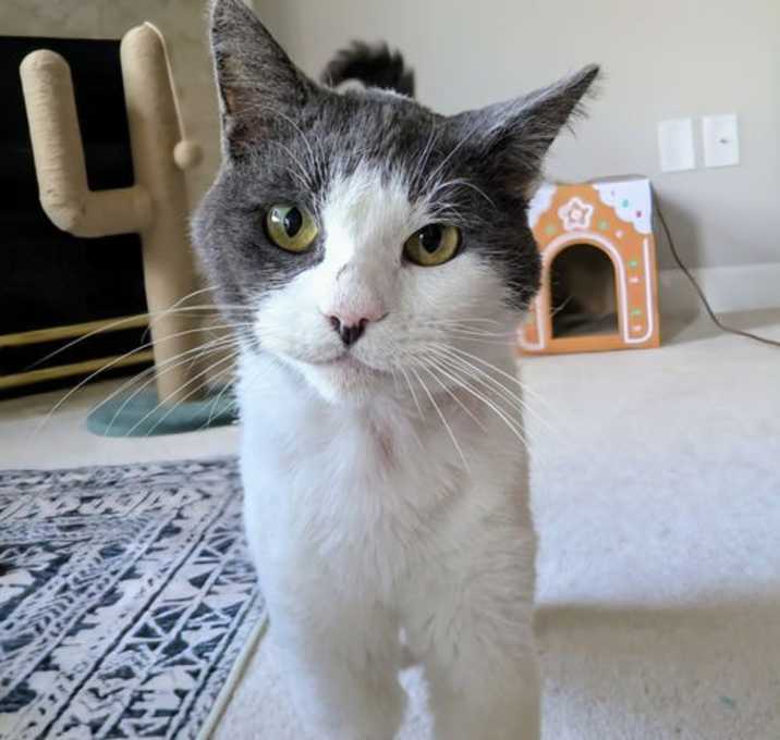 Photo of Finley