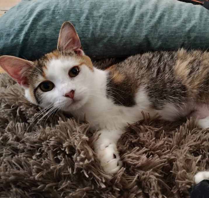 Photo of Junebelle