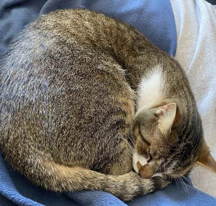 Photo of Little Bear