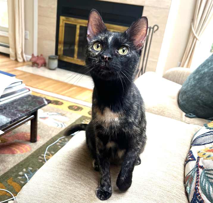 Photo of Penelope
