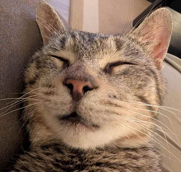 Photo of Arthur