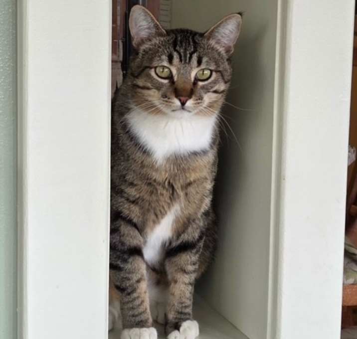 Photo of Toby