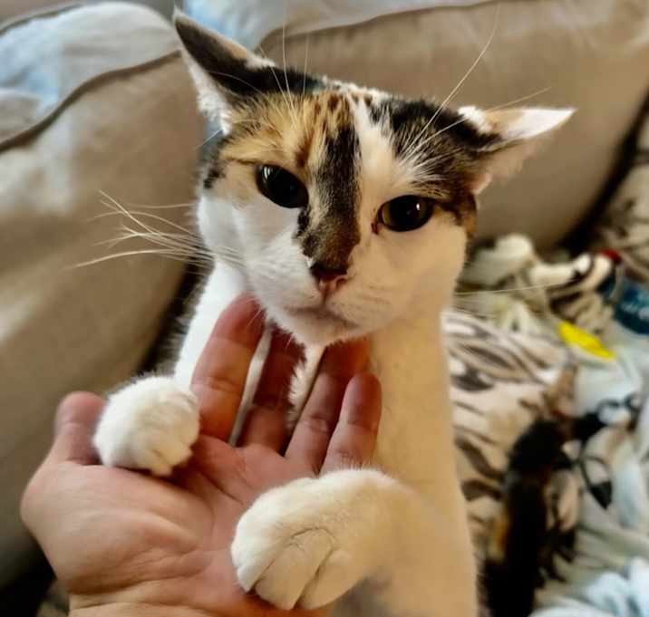 Photo of Coco