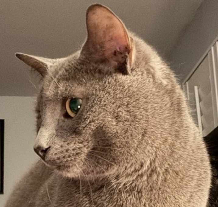 Photo of Marco