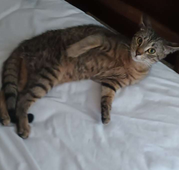 Photo of Princess