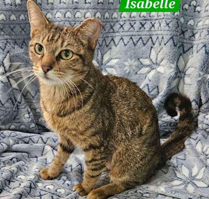 Photo of Isabelle