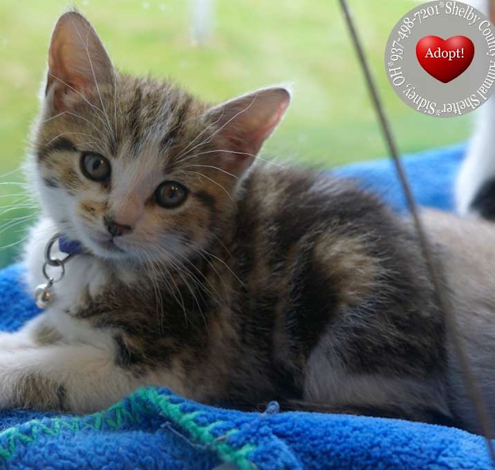 Photo of Veruca