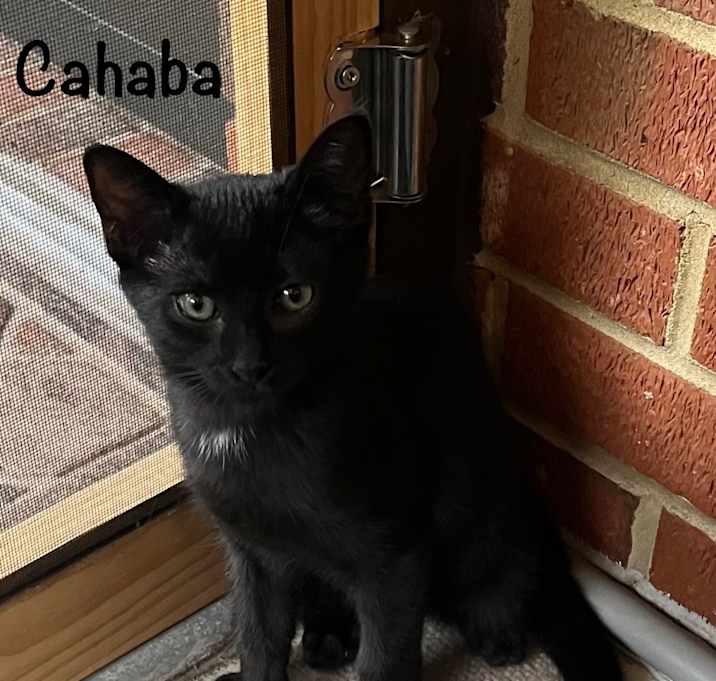 Photo of Cahaba
