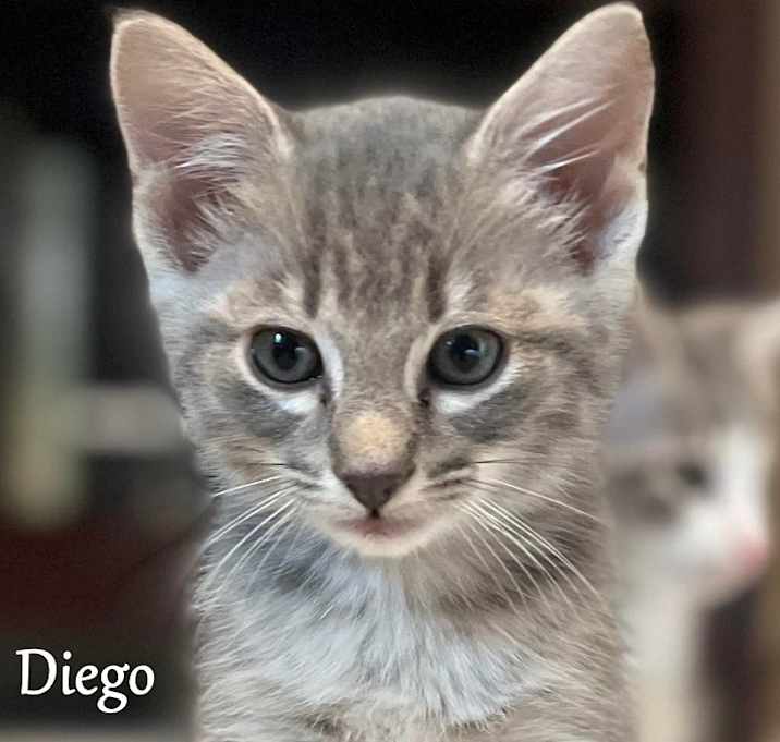 Photo of Diego