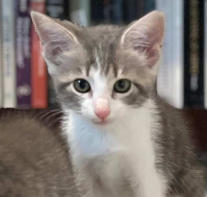 Photo of Grace