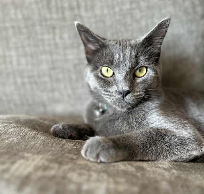 Photo of Chloe