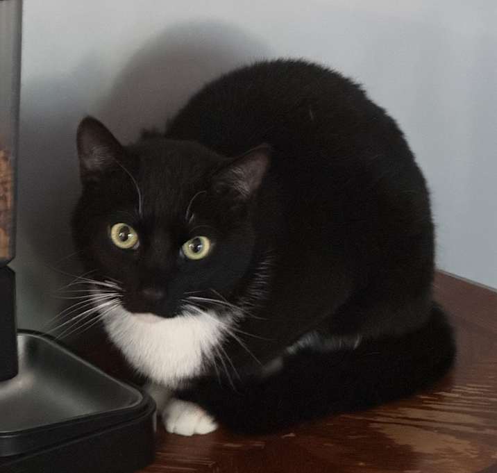 Photo of Sterling