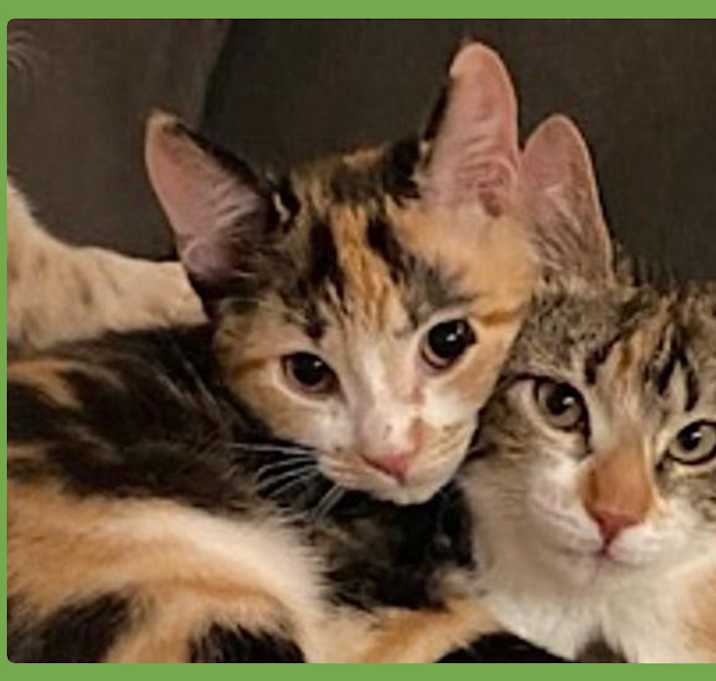Photo of Nova and Ruta