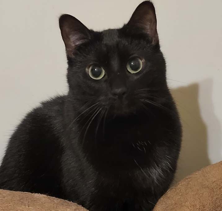 Photo of Java