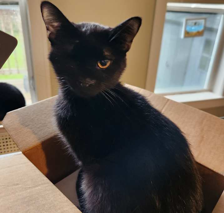 Photo of Dolly Purrton-Foster