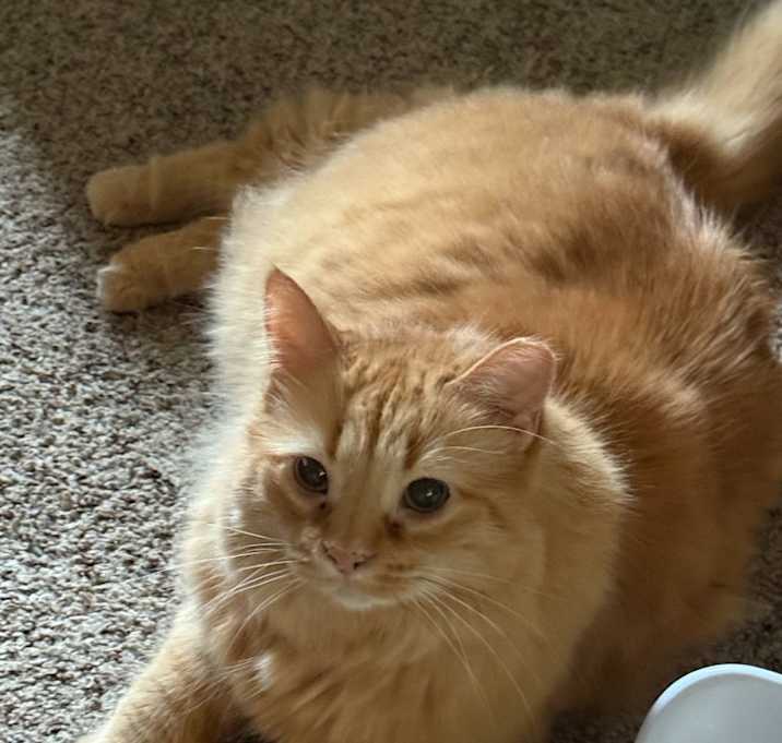 Photo of Salem