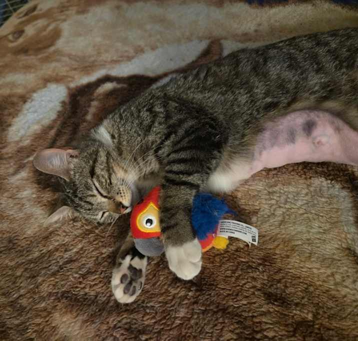 Photo of Belle