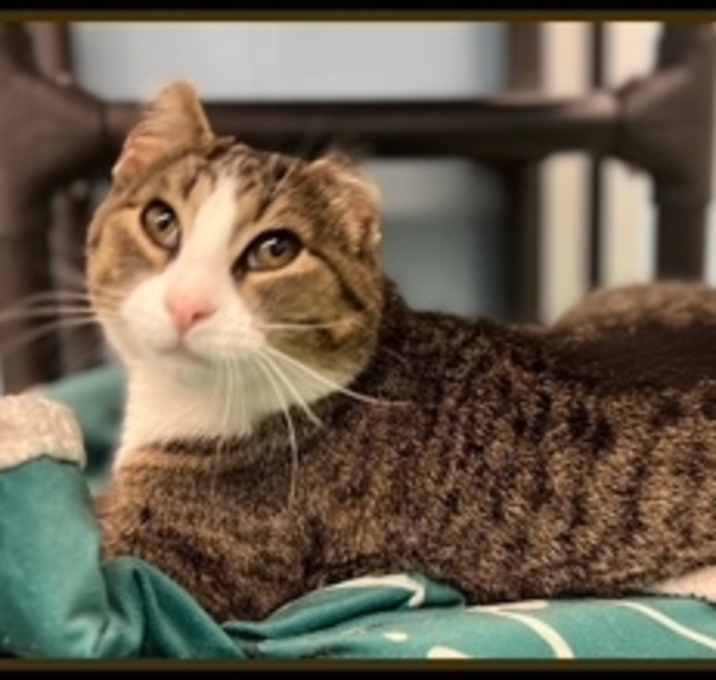 Photo of ETHEL